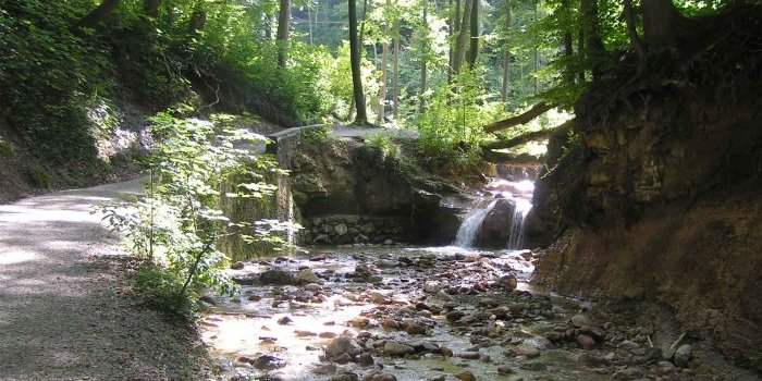 La nature cachée au coeur de Zurich - Werenbachtobel-Weg 