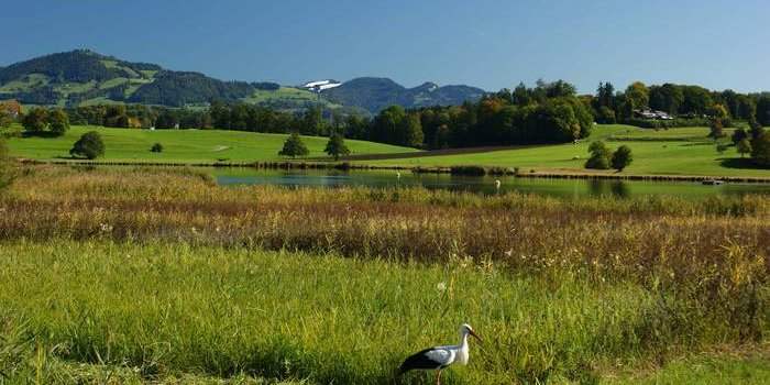Une petite balade bucolique autour du Lützelsee 