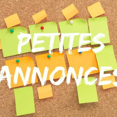 Les petites annonces de Zürich Accueil