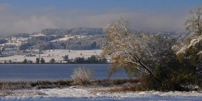 Balade autour d'une partie du Greifensee