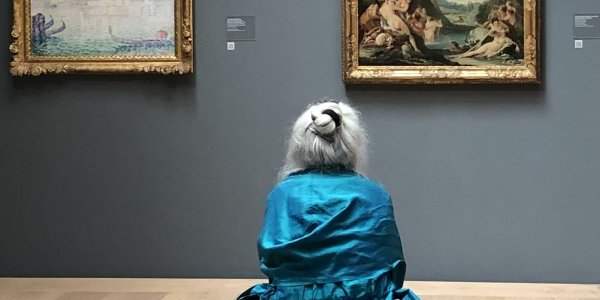 Visites guidées