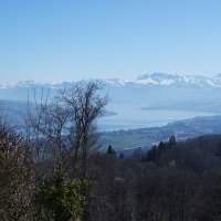 Balades "natures"