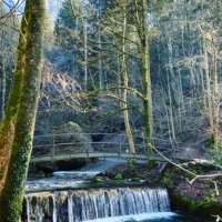 A la découverte d'un jardin asiatique et des cascades de Küsnacht