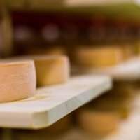 28/03 Faire son propre fromage