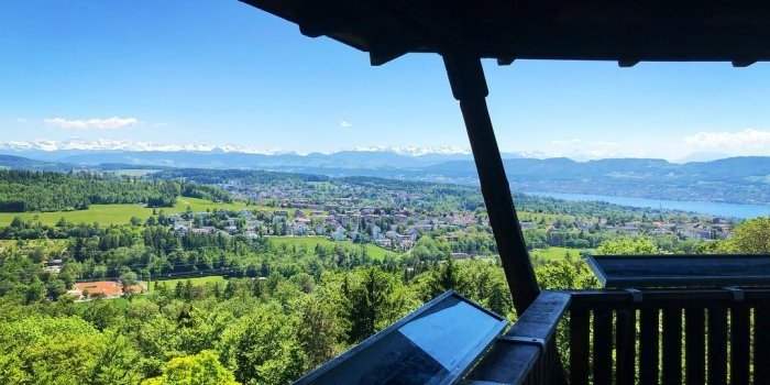 Un petit tour sur les hauteurs de Witikon autour de La Loorenkopf