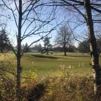 Balade "nature" autour du golf de Zumikon