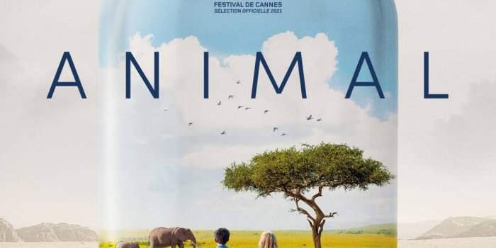 Cinéma : "Animal" de Cyril Dion au Kosmos à 18h00 vendredi 12 août.