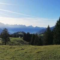 Idée de randonnée à Arvenbüel sur le Flügenspitz : À faire en famille !