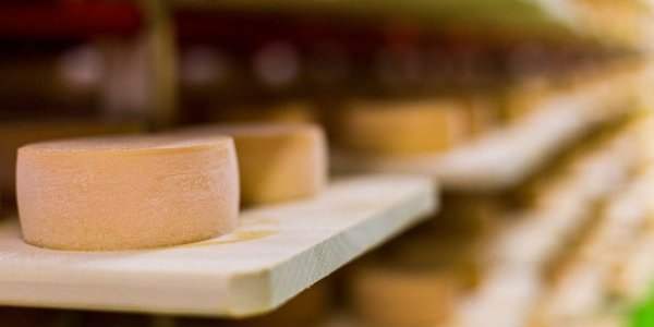 28/03 Faire son propre fromage