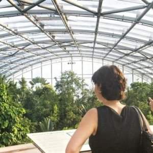 ANNULÉE Visite de la Forêt Pluviale de Masoala
