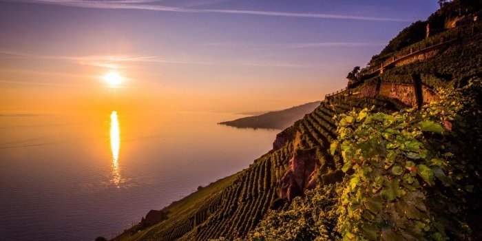 JOURNÉE DÉCOUVERTE : TERRASSES DU LAVAUX