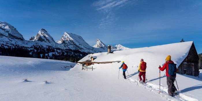 BALADES À RAQUETTES DANS LE TOGGENBURG. A FAIRE EN FAMILLE