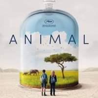 Cinéma : "Animal" de Cyril Dion au Kosmos à 18h00 vendredi 12 août.