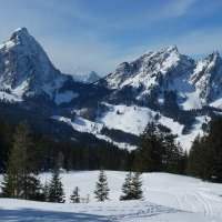 Idée de randonnée à Brunni (Alpthal) : à faire en famille ! - Dimanche 28 novembre 2021