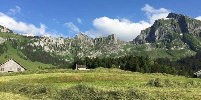 822 - Schabziger Höhenweg à Filzbach