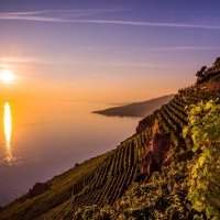 JOURNÉE DÉCOUVERTE : TERRASSES DU LAVAUX