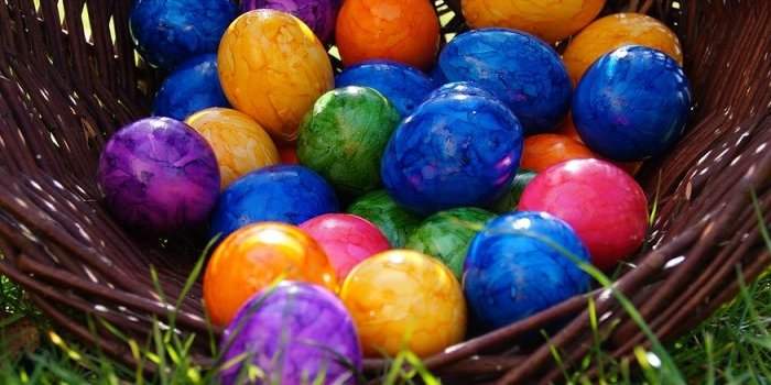 Chasse aux oeufs de Pâques ! &#128035;