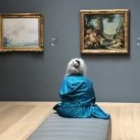 Visites guidées