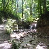 La nature cachée au coeur de Zurich - Werenbachtobel-Weg 