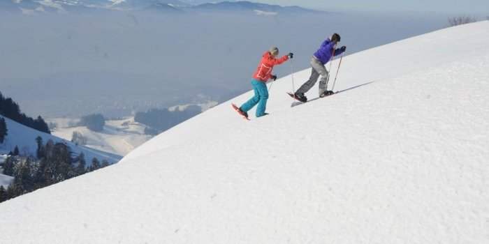 Balades à Raquettes dans l'Oberland de Zürich. A faire en famille