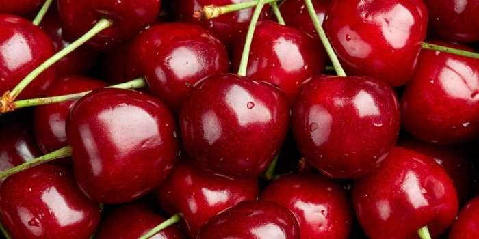 Randonnées au pays des cerises