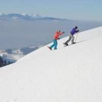 Balades à Raquettes dans l'Oberland de Zürich. A faire en famille