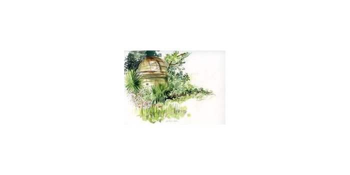 Urban Sketching : rendez-vous au jardin botanique !