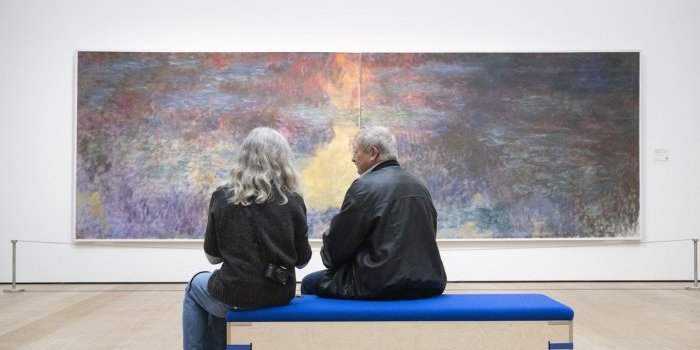"Un avenir pour le passé" - Collection Bührle : art, contexte et conflit.