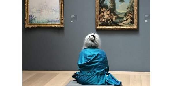 Visites guidées
