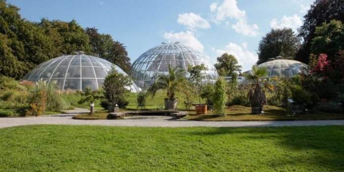 Et si on partait en vacances au Jardin Botanique ?